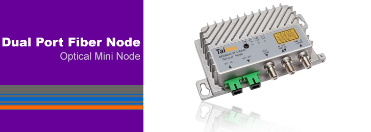 Dual Port Node